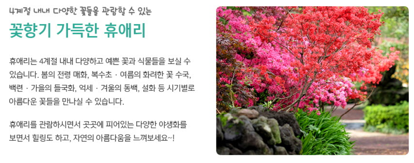 휴애리