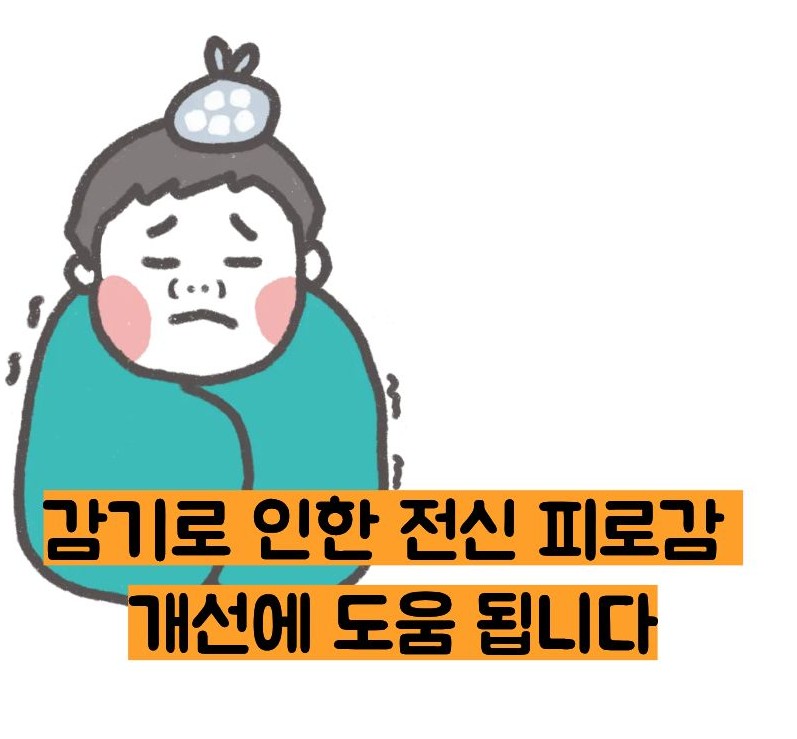 갈근탕 효능