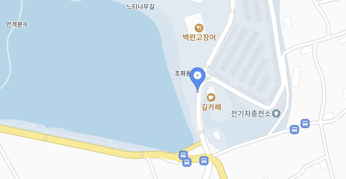 무안 연꽃축제 2026