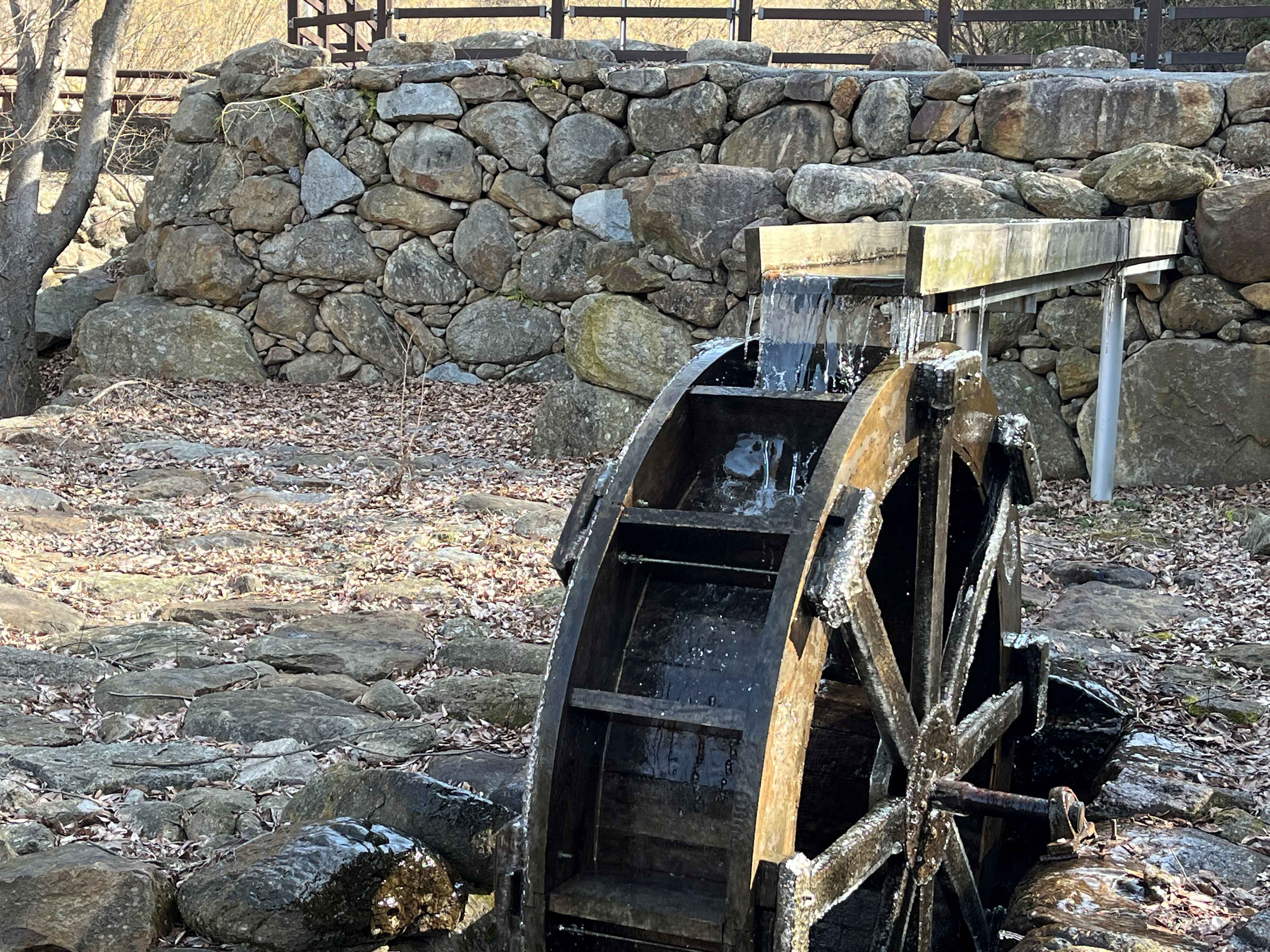 구례 산수유마을