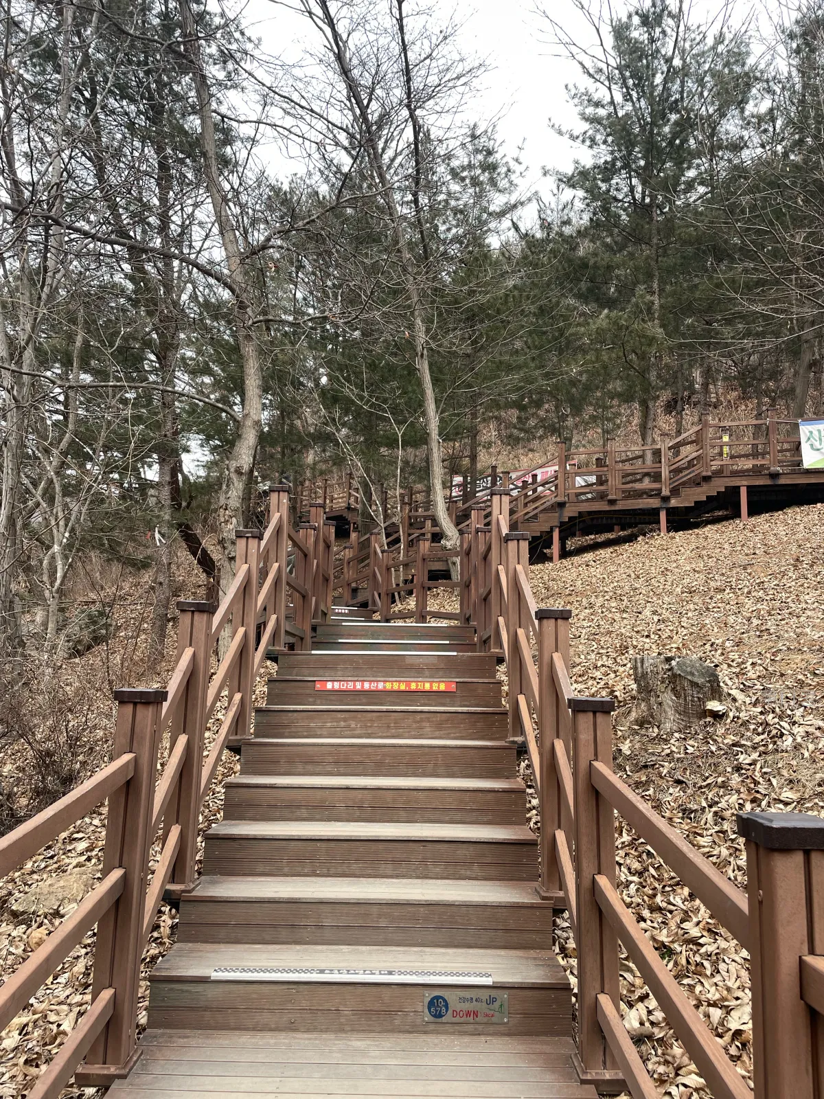 강원도-원주여행-소금산-출렁다리-주말-방문후기-산책로-소요시간,-또-가고싶은-이유