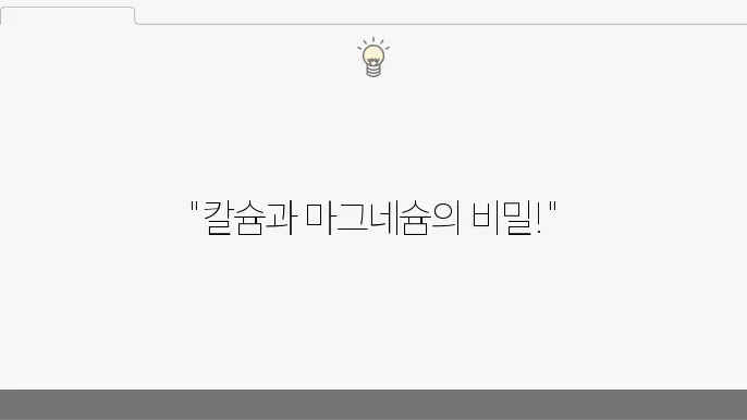 칼슘 마그네슘 섭취시간 섭취방법 효능 총정리