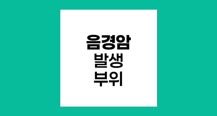 음경암의 주요 발생 부위와 유형