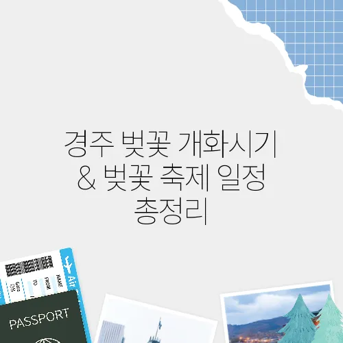 경주 벚꽃 개화시기 & 벚꽃 축제 일정 총정리
