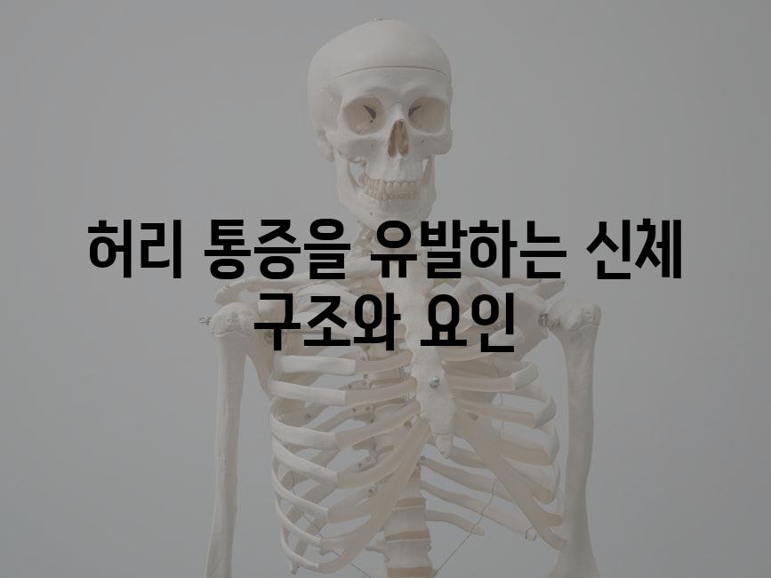 허리 통증을 유발하는 신체 구조와 요인