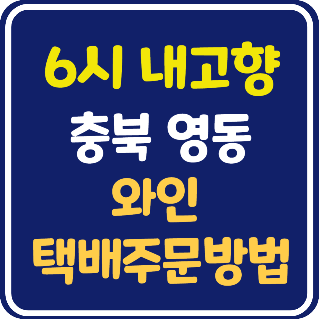 6시 내고향 충북 영동 와인 택배 주문 방법