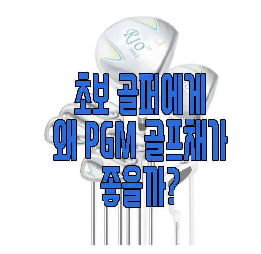 PGM골프채에 관한 글 보러 가기 링크 사진
