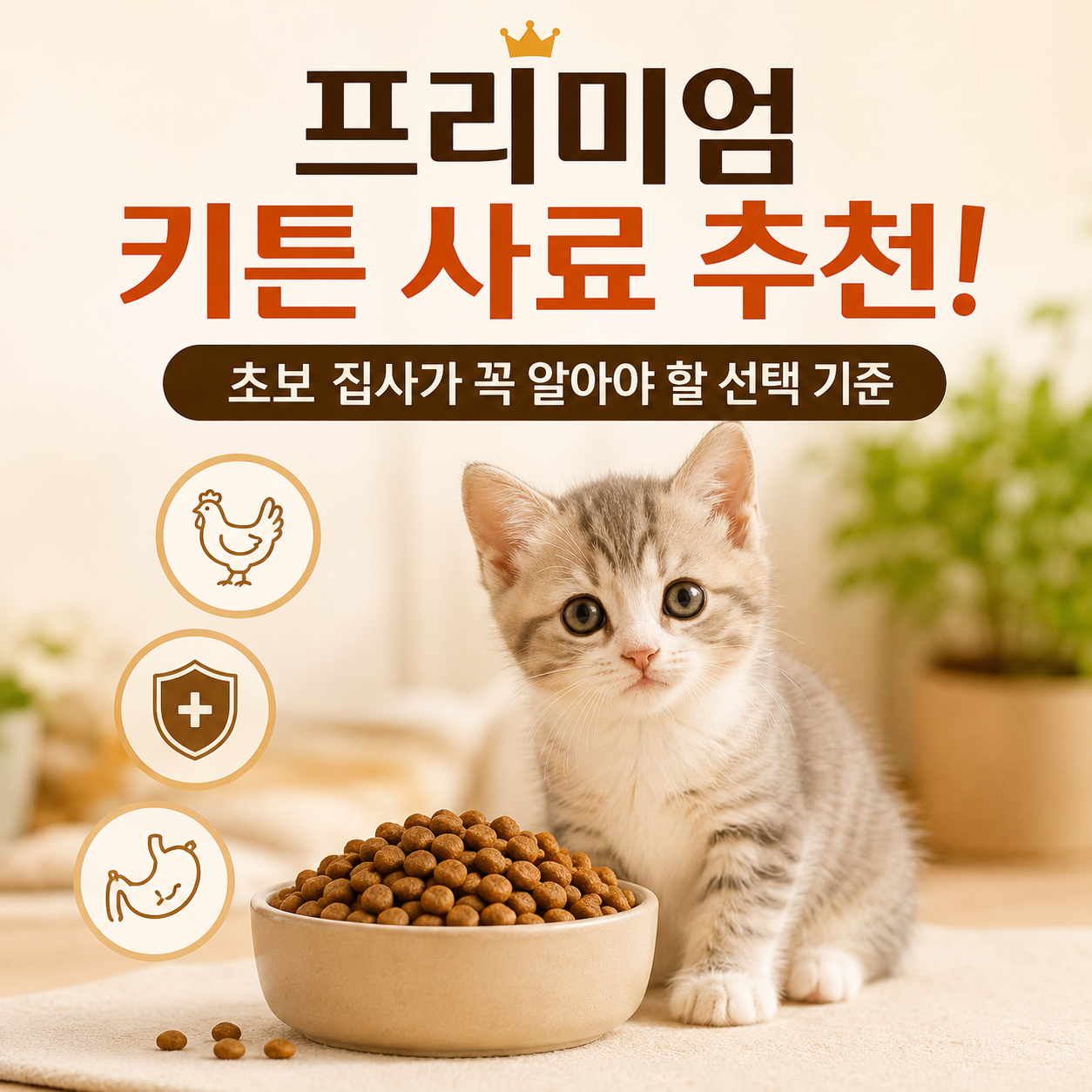 프리미엄 키튼 사료