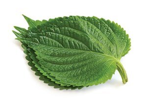 빈혈에 좋은 음식