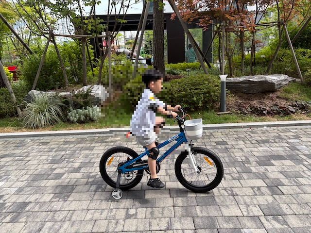 로얄베이비 자전거