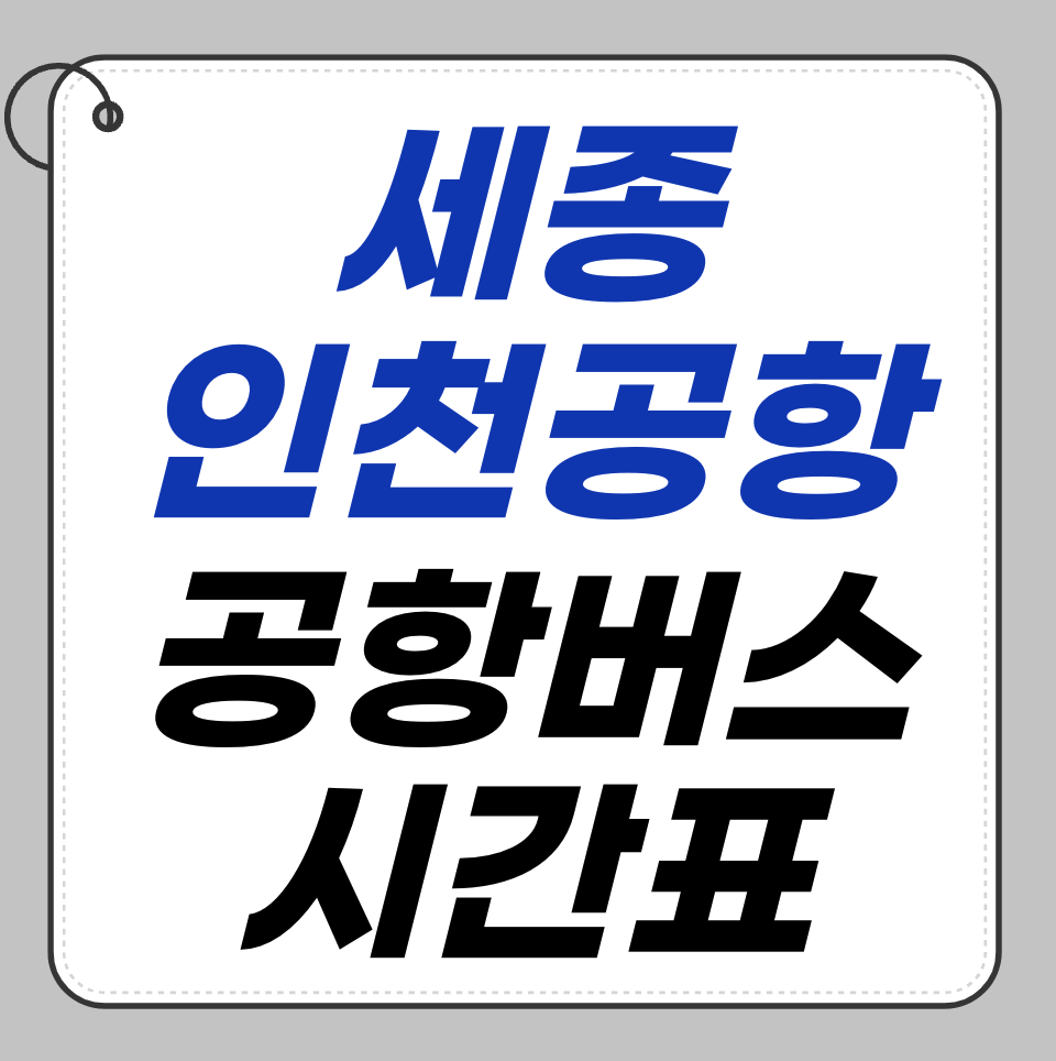 세종에서 인천공항까지 환승 없이 가는 완벽한 방법 ✈️