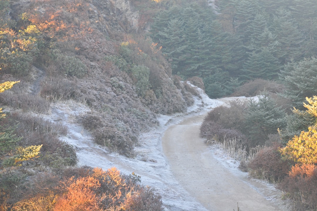 Hyangto길  (Hyangto Trail)