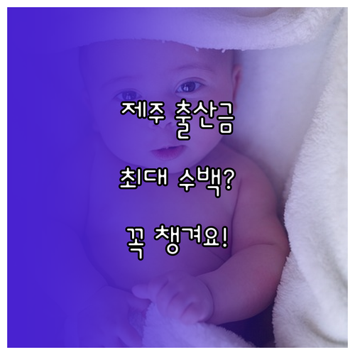 제주도 첫만남이용권 및 지자체 출산 ..