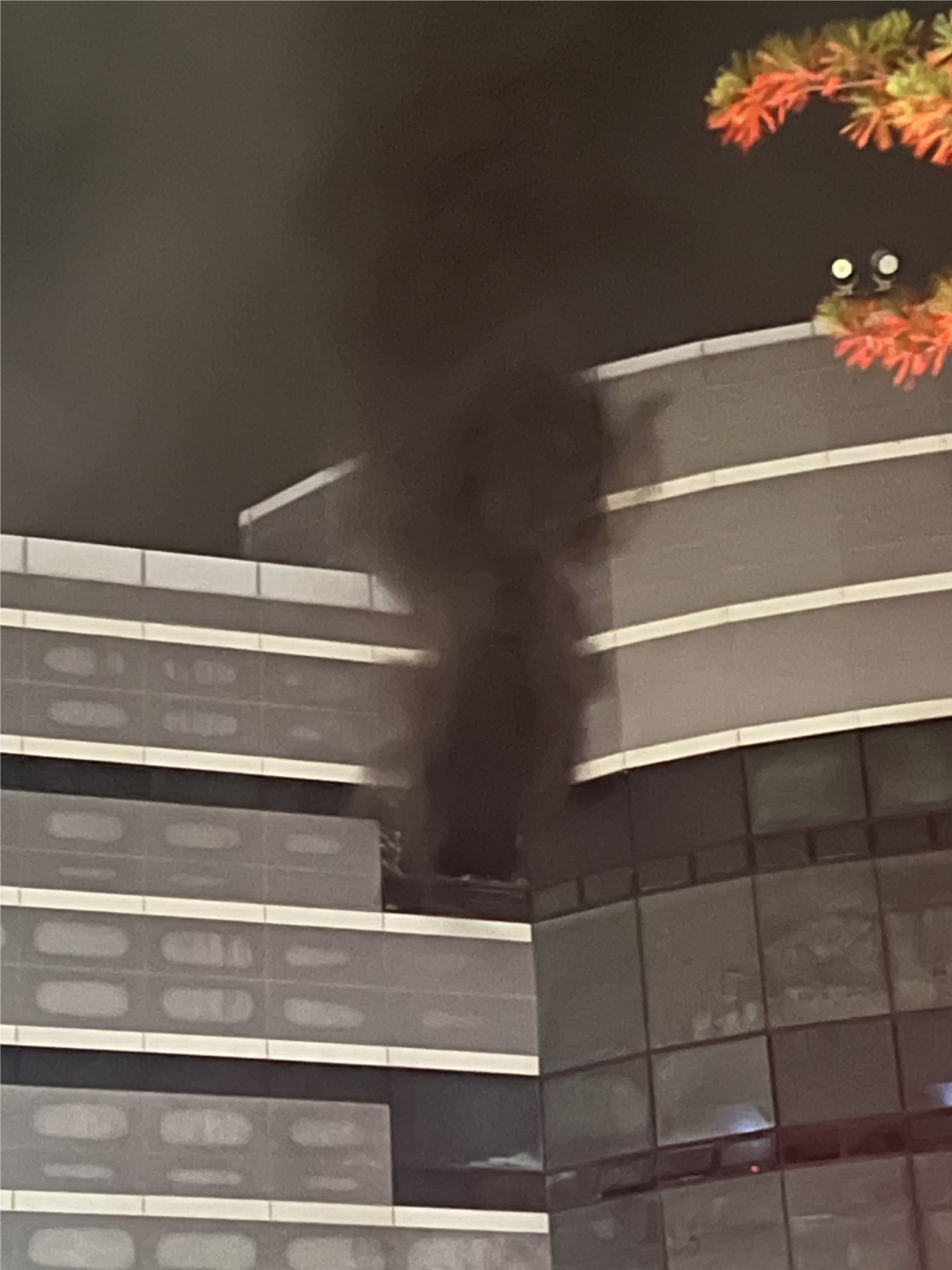 국가정보관리원 화재 관련 사진