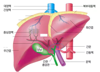 간1