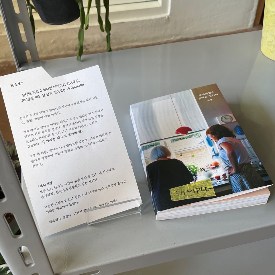 속초 라이픈