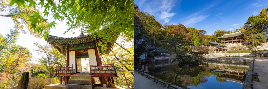 왕실의 정원 창덕궁 후원