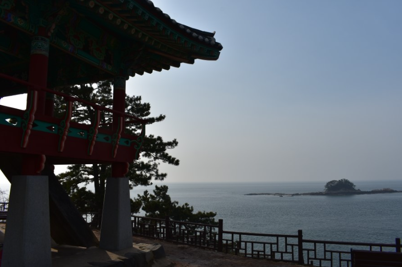 동백나무