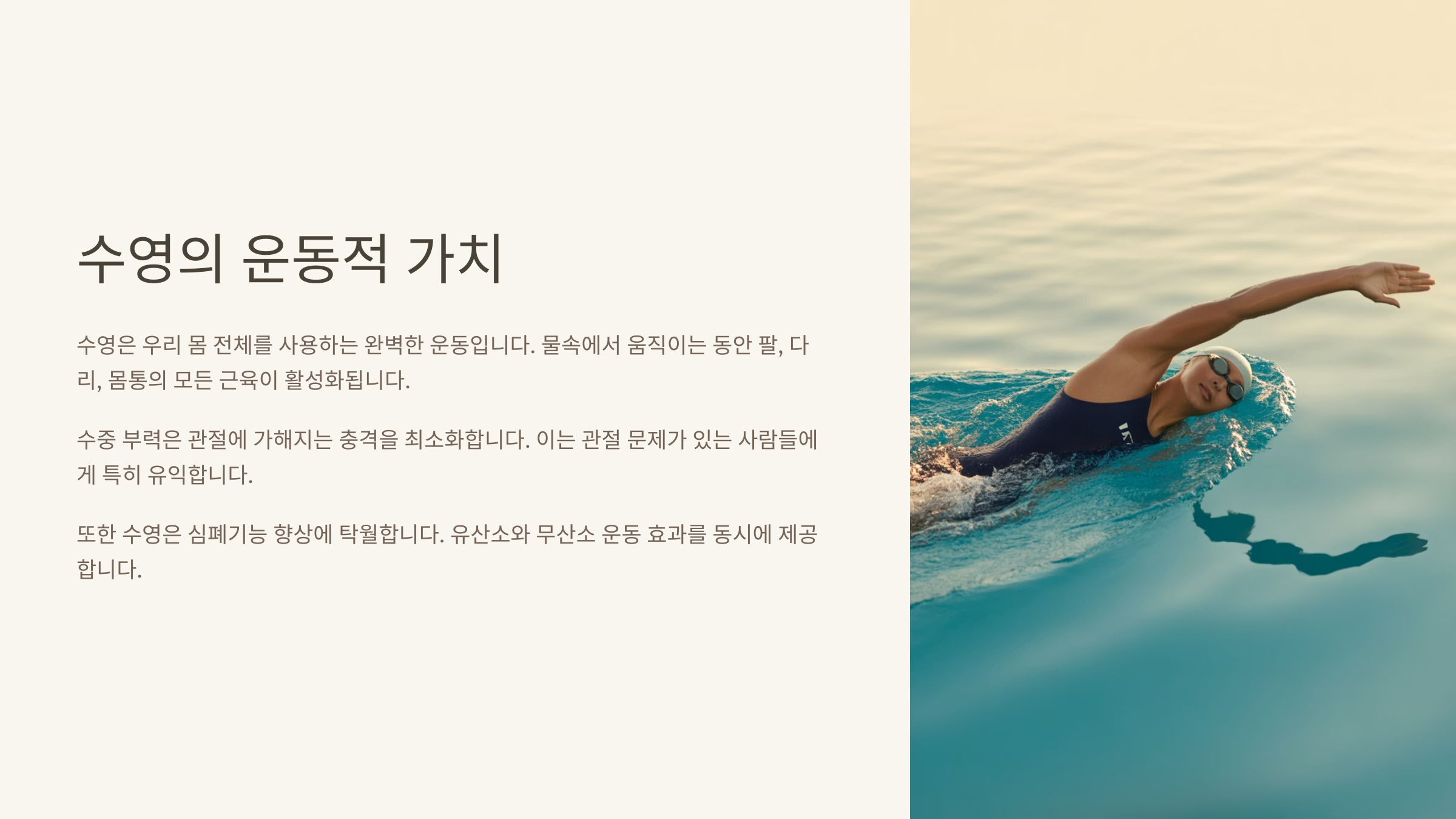 수영의 운동적 가치