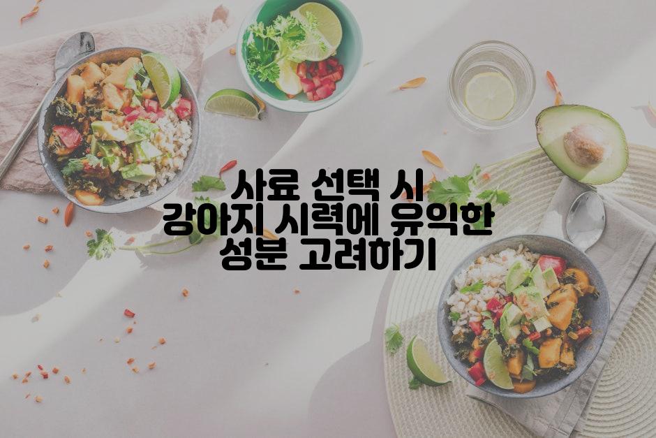 사료 선택 시 강아지 시력에 유익한 성분 고려하기