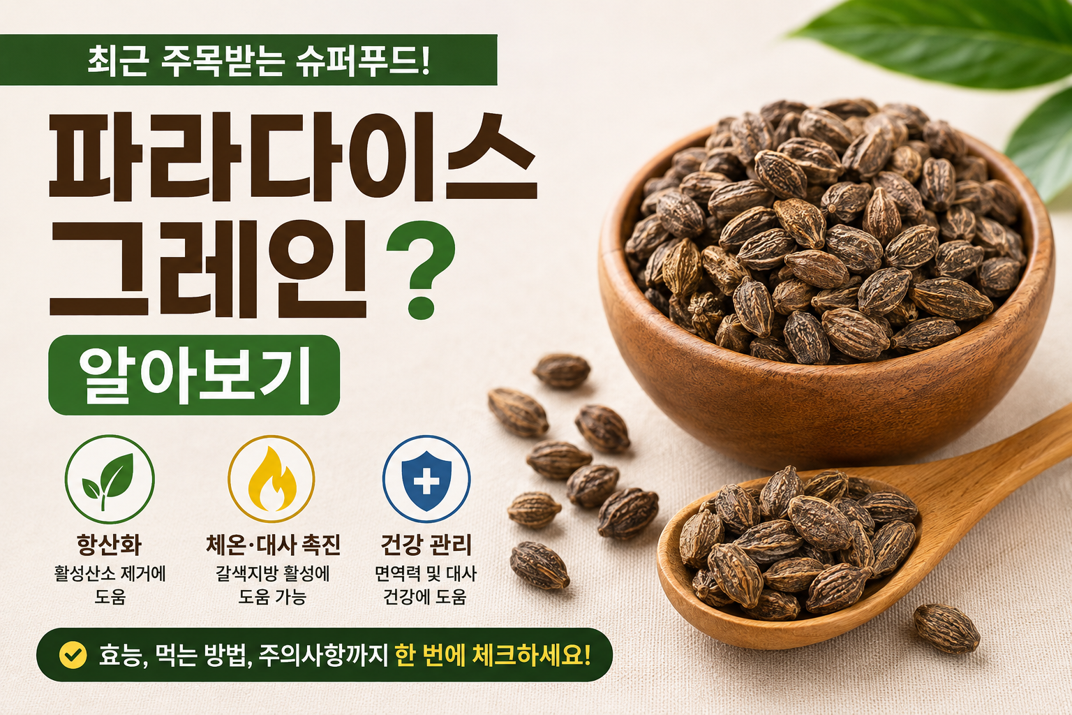 파라다이스 그레인? 알아보기