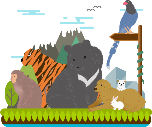 아침고요 수국 전시회 축제