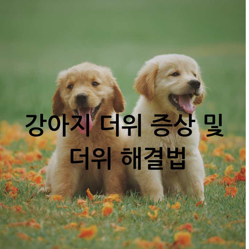강아지 더위 증상 및 해결법