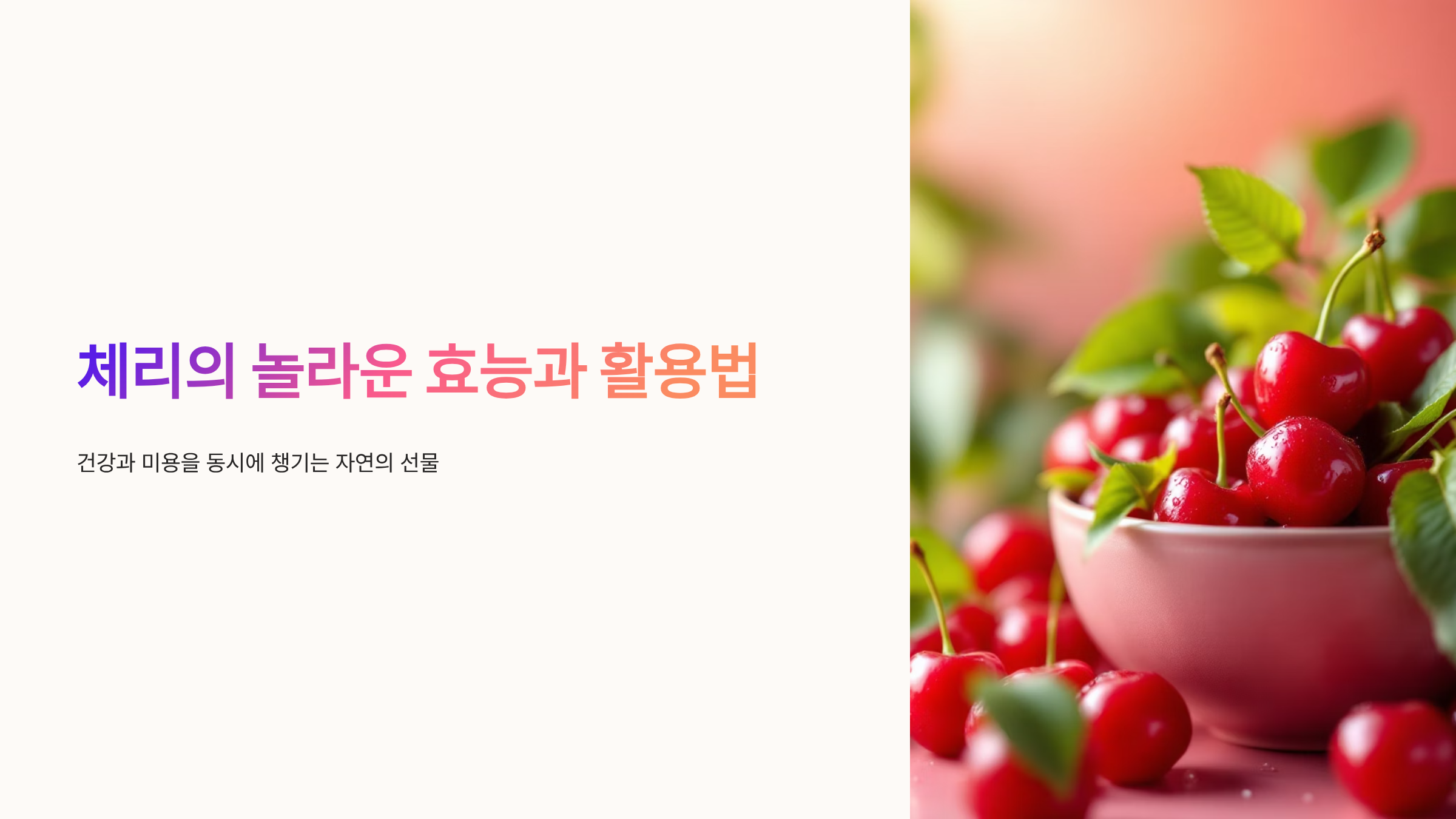 체리 효능과 건강 비밀 완벽정리