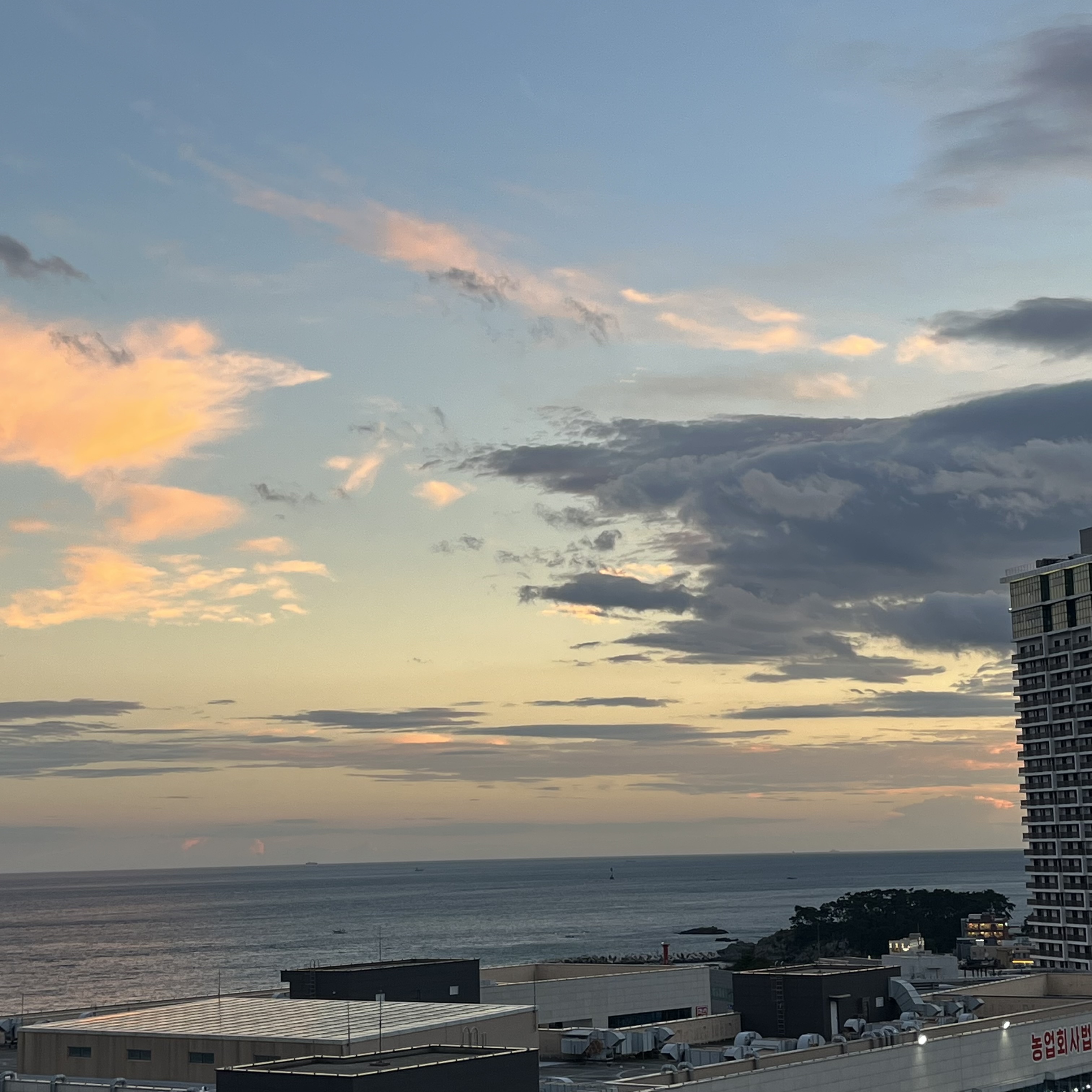 테라스에서 보이는 바다