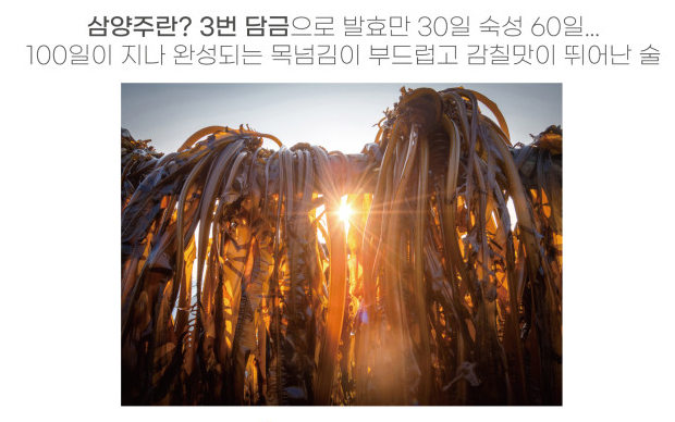 6시내고향 미역막걸리 부산 기장발효협동조합