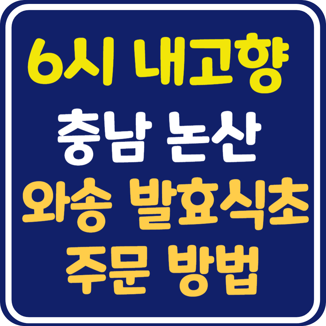 6시 내고향 충남 논산 와송 발효 식초 주문 방법