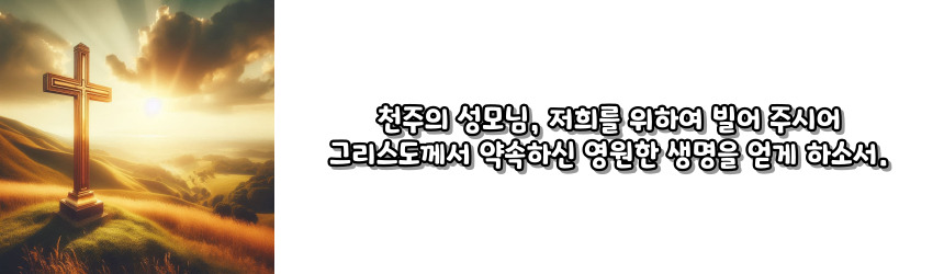 천주교 삼종 기도 기도문_주요 기도문