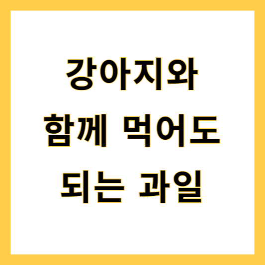 강아지가 먹어도 되는 과일