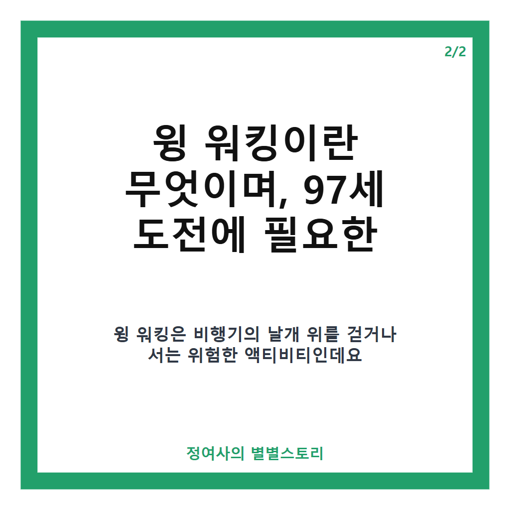 하늘을 나는 97세의 윙 워커, 세계 최고령 여성 기록 경신과 준비 과정 핵심 정리 카드뉴스 3