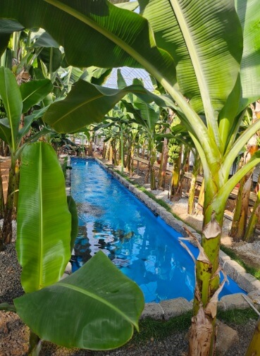 생생정보 믿고 떠나는 스타고장 가수 홍경민의 전라남도 함평 여행 한우 함평육회비빔밥 맛집 화랑식당 함평나비대축제 주포지구 한옥전원마을 함평 바나나 생태나라 