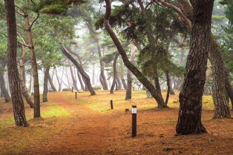 공주 고마나루