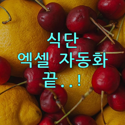 체계적인 식단 관리를 위한 엑셀 자동..