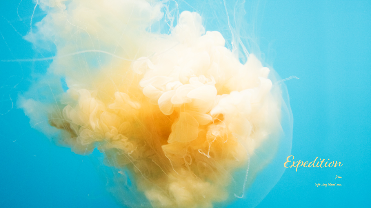 02 해파리 구름 C - Expedition 여름배경화면