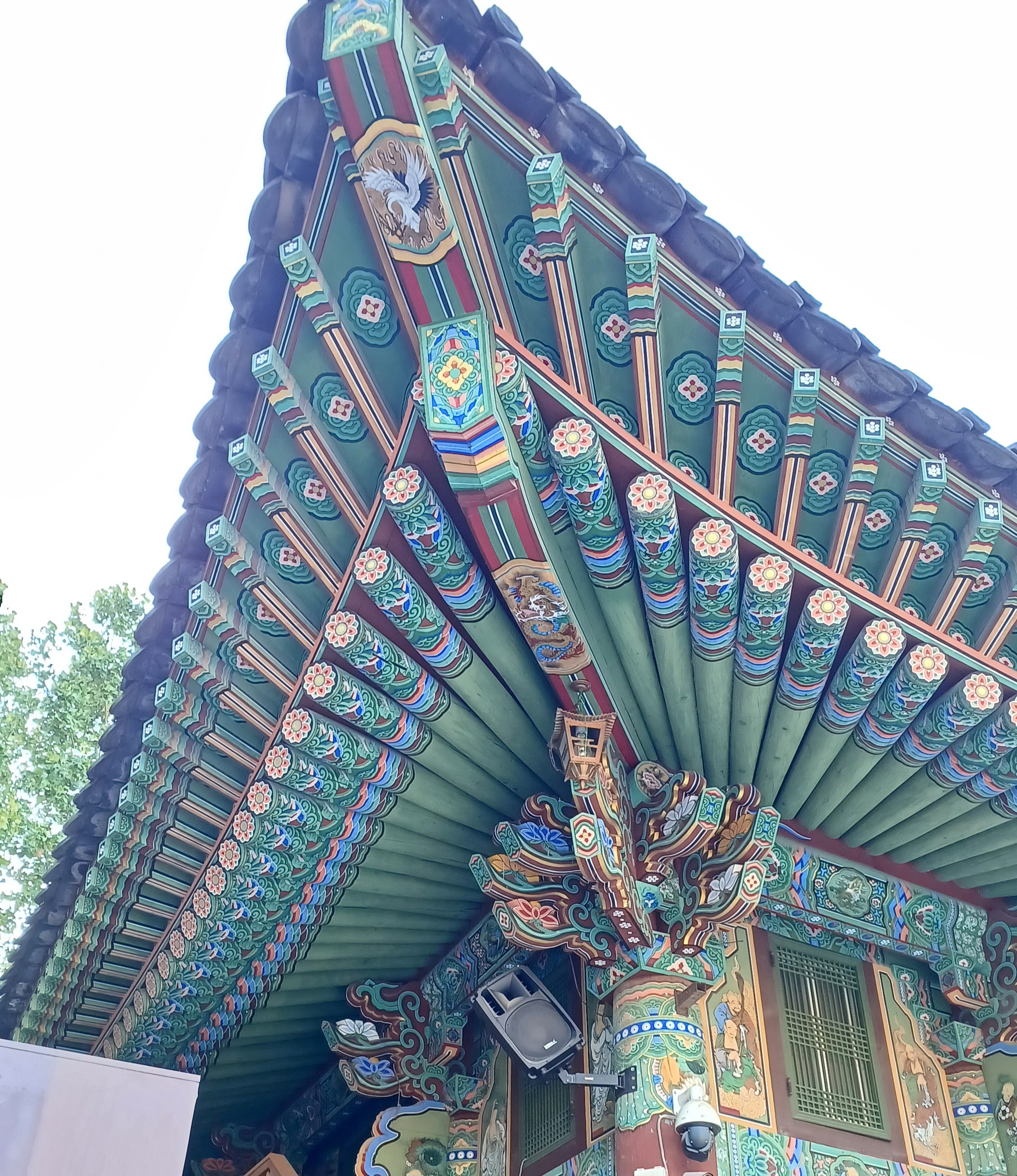 조계사-국화축제-4