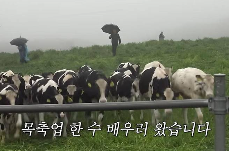 콩콩팜팜 이광수 김우빈 도경수 제주도 목장 예능 첫 방송 정리