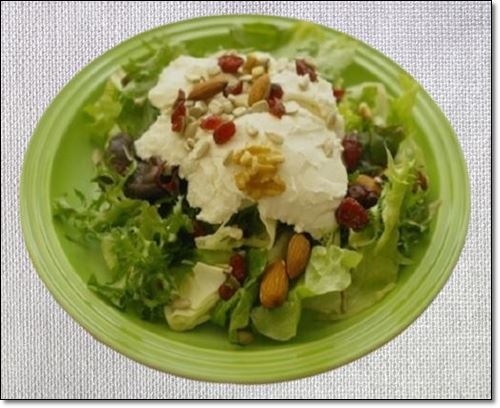 디코타치즈 샐러드