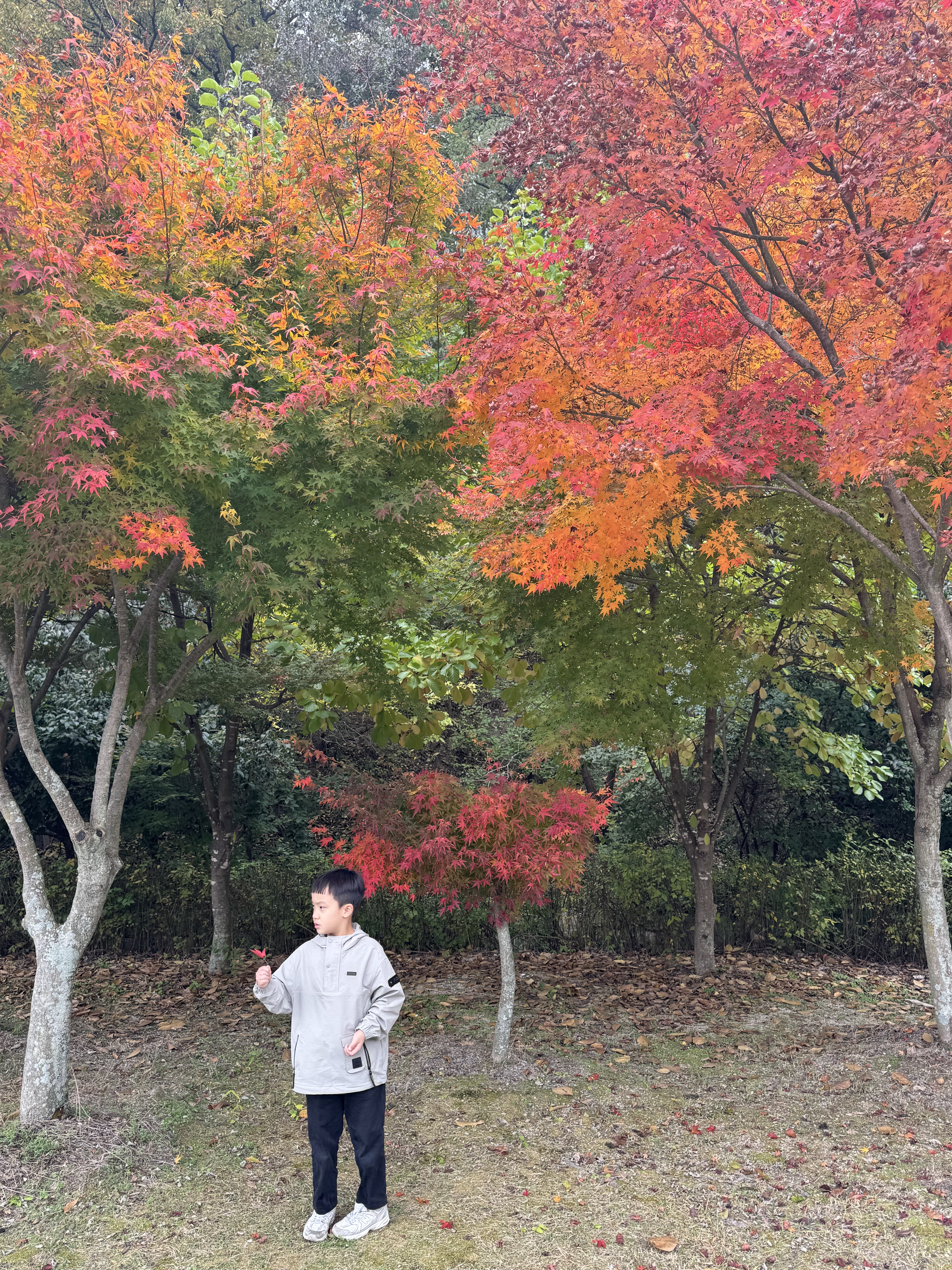 영천 임고서원 가을 풍경