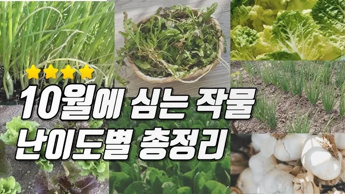 2025년 10월에 파종하기 좋은 작물들 농업 재배법_5
