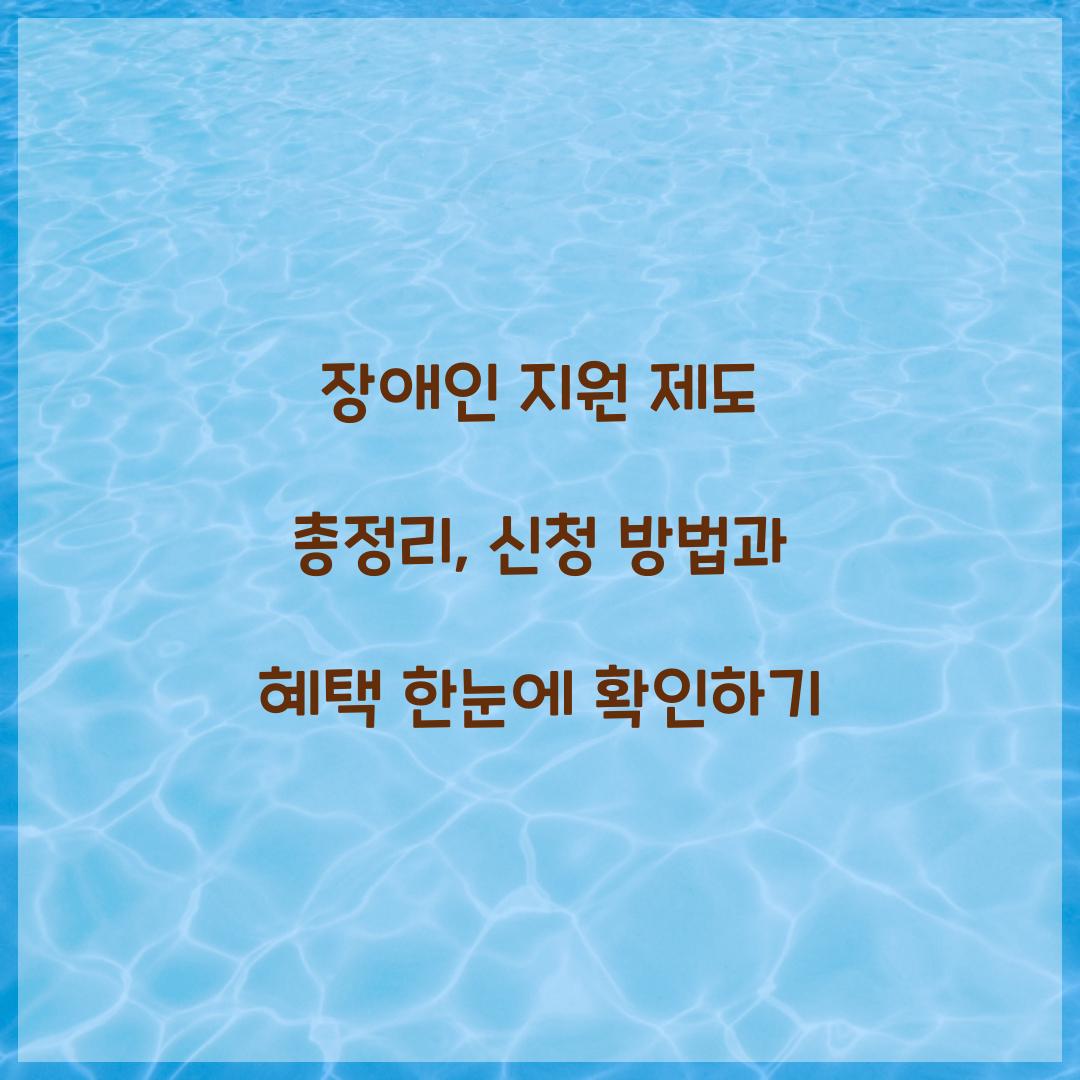 장애인 지원 제도