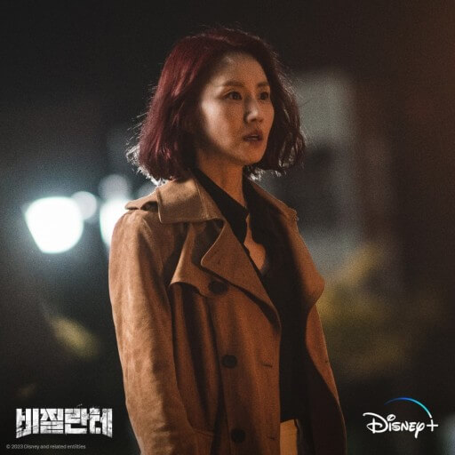 드라마 비질란테 뜻 줄거리 등장인물 웹툰 