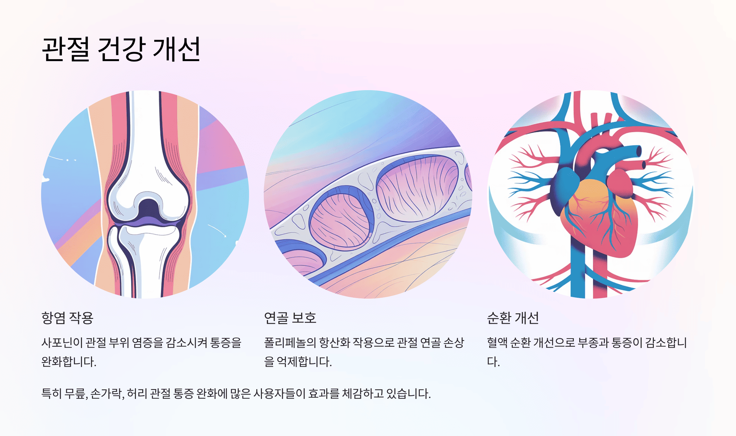 마가목 열매 효능, 면역·관절 건강에 효과? 주의사항 총정리