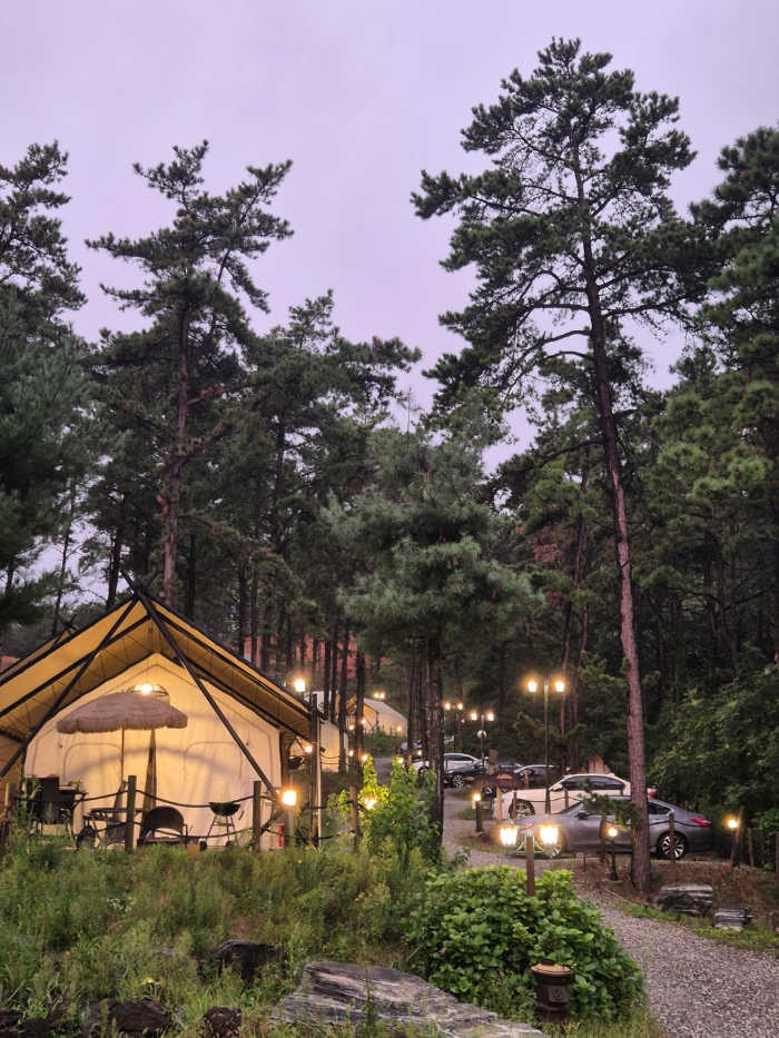 영흥도 글램핑, 블랙트리 내돈내산 후기