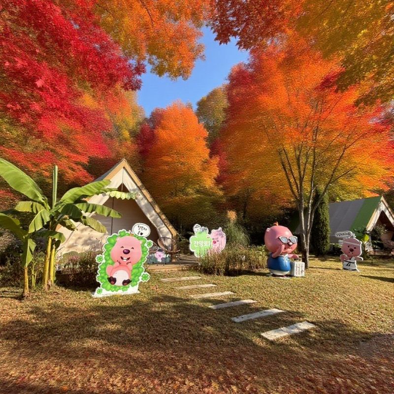 가을 단풍 속 잔망루피 숨은그림 찾기 메인 이벤트