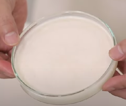 우삼겹과 대창 기름 1시간 후