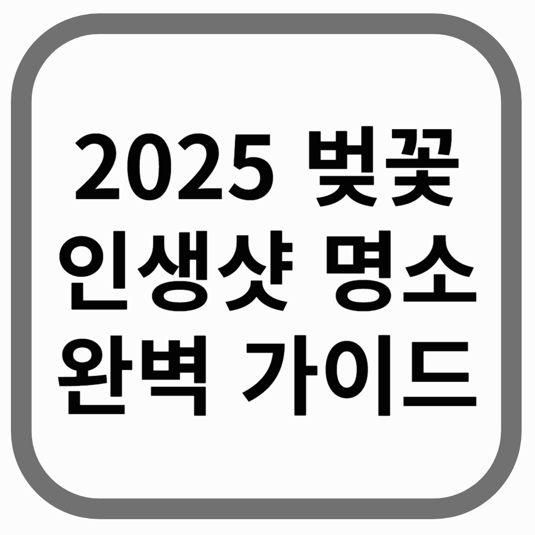 2025 벚꽃 인생샷 명소 완벽 가이드라고 적힌 썸네일